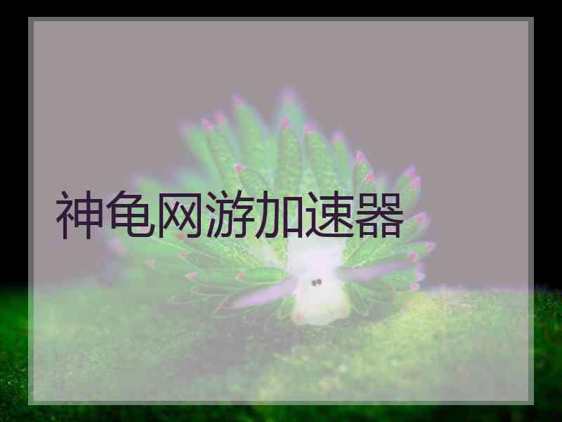 神龟网游加速器