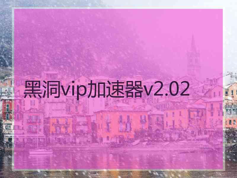 黑洞vip加速器v2.02