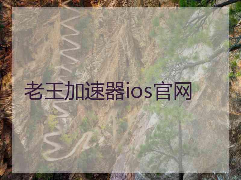 老王加速器ios官网