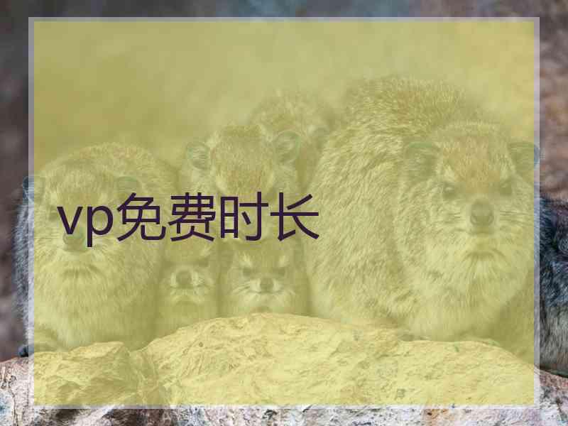 vp免费时长