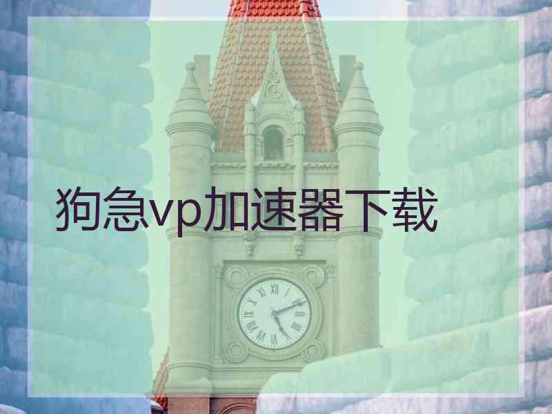 狗急vp加速器下载