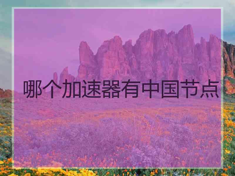 哪个加速器有中国节点