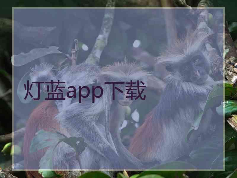 灯蓝app下载