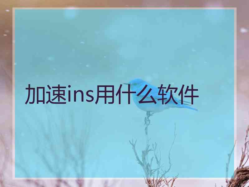 加速ins用什么软件