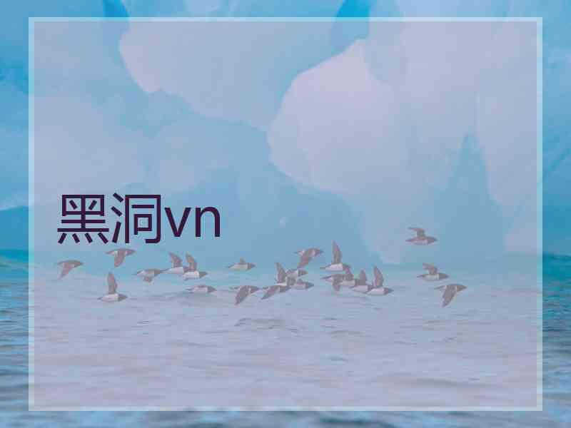 黑洞vn