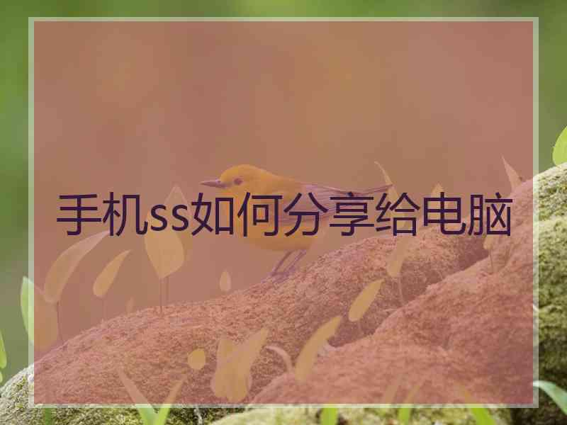 手机ss如何分享给电脑