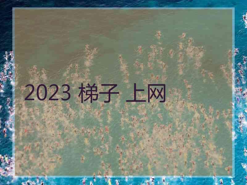 2023 梯子 上网