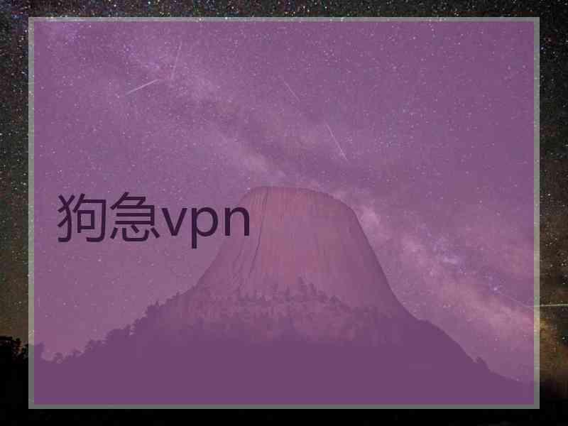 狗急vpn