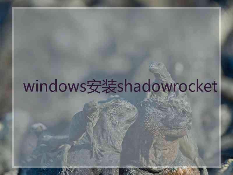 windows安装shadowrocket