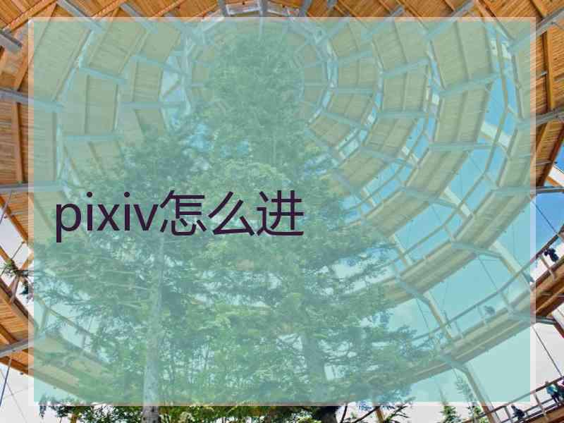 pixiv怎么进