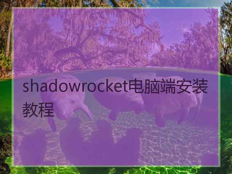 shadowrocket电脑端安装教程