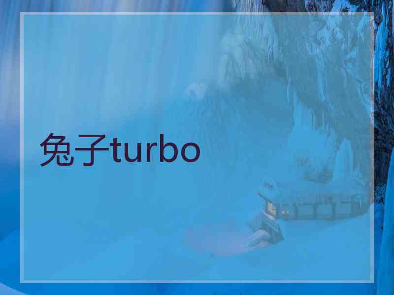 兔子turbo