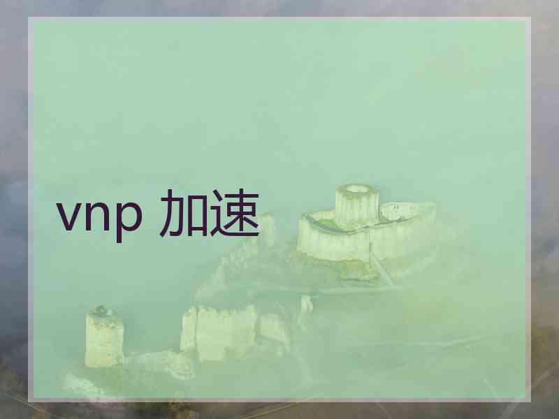 vnp 加速