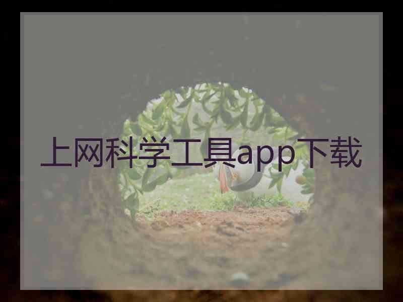 上网科学工具app下载