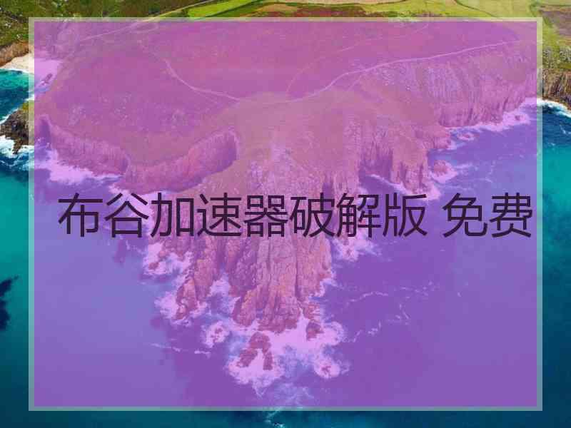 布谷加速器破解版 免费
