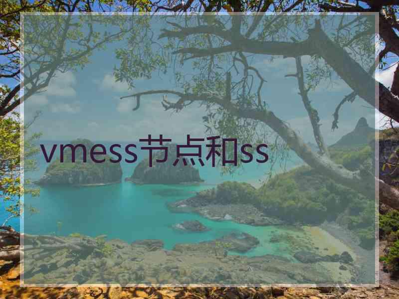vmess节点和ss
