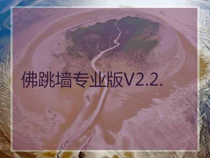 佛跳墙专业版V2.2.