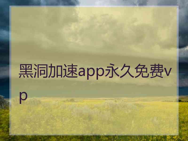 黑洞加速app永久免费vp