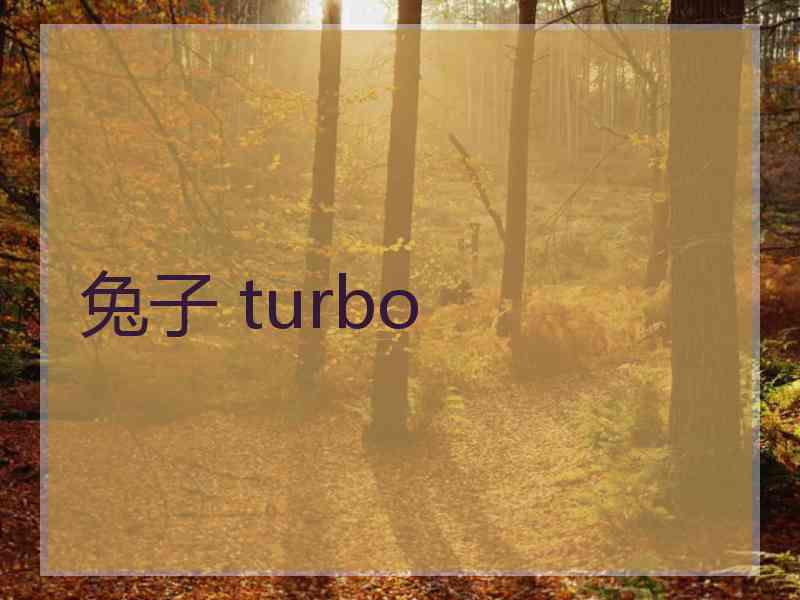 兔子 turbo