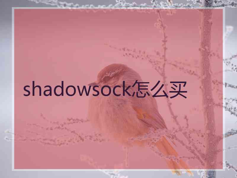 shadowsock怎么买