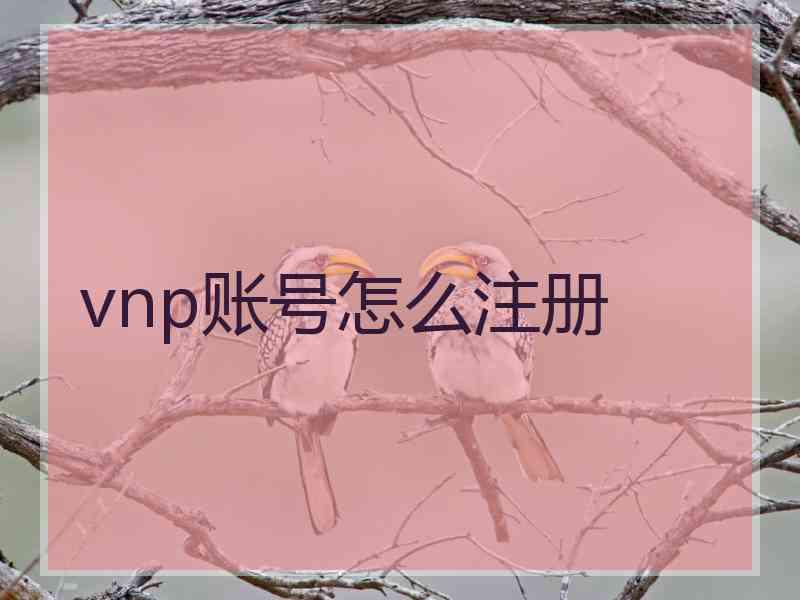 vnp账号怎么注册