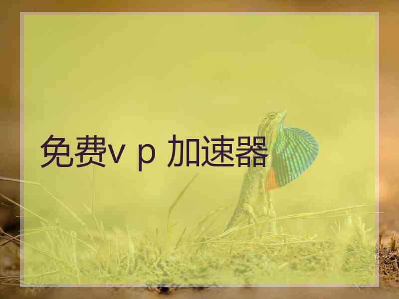 免费v p 加速器