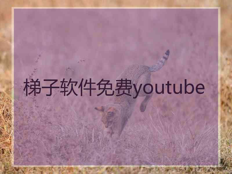 梯子软件免费youtube