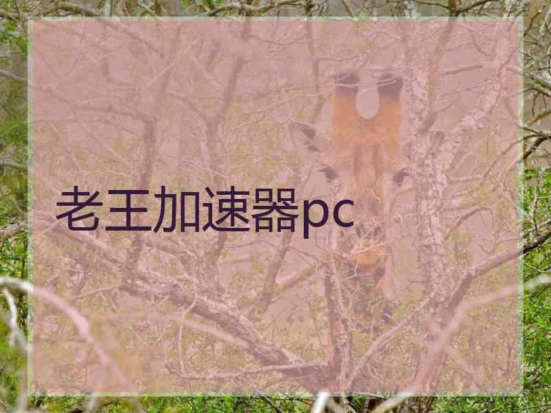 老王加速器pc