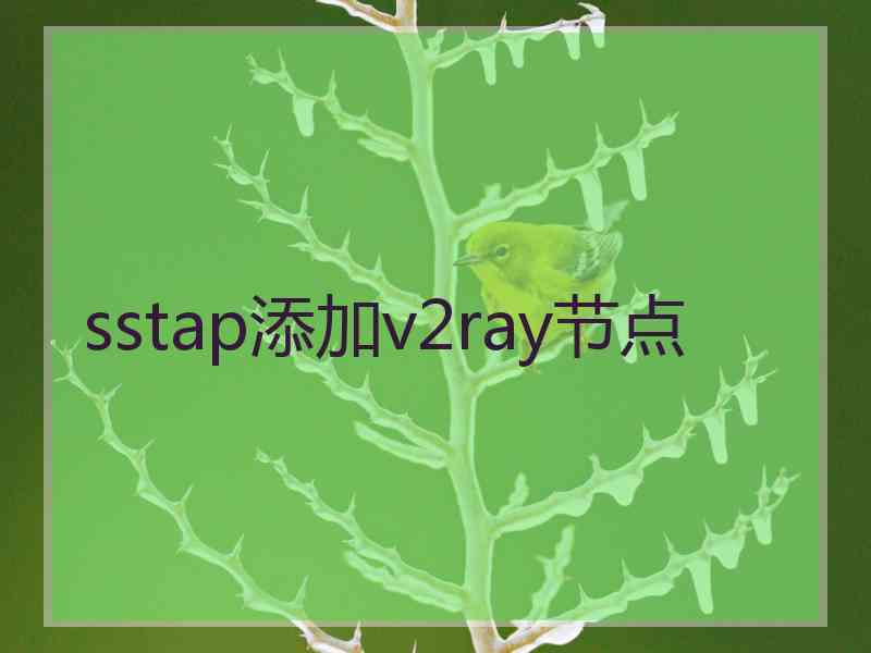 sstap添加v2ray节点