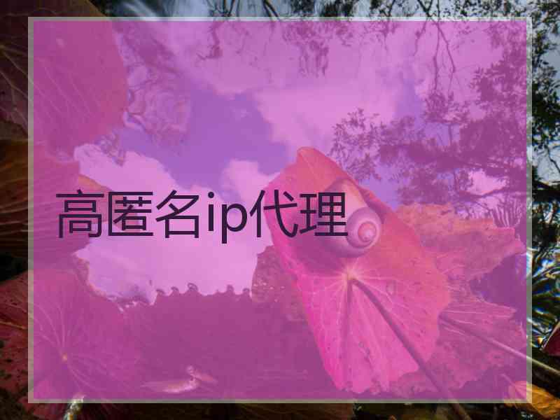 高匿名ip代理