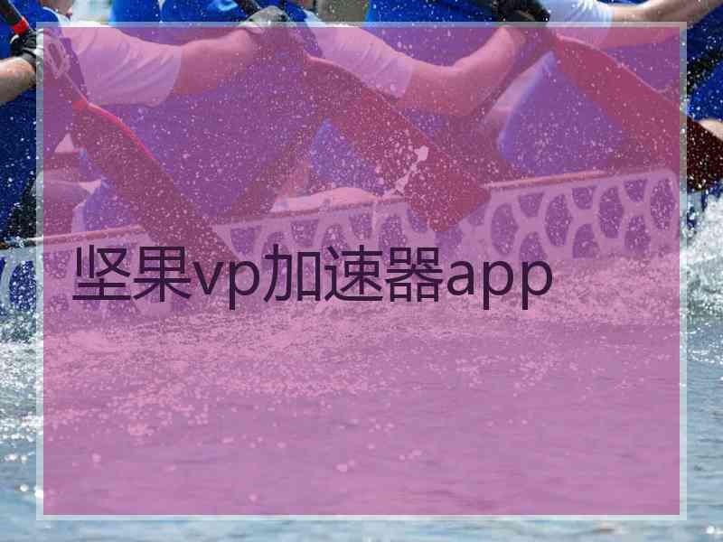 坚果vp加速器app