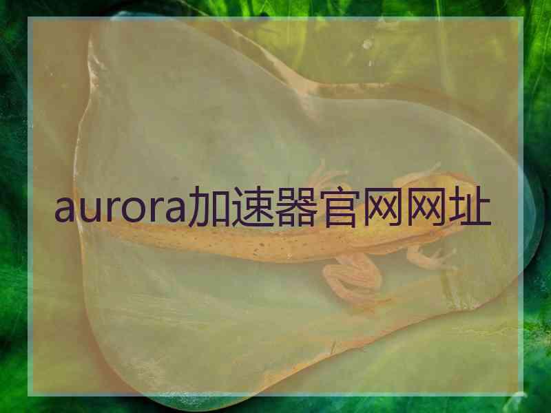 aurora加速器官网网址