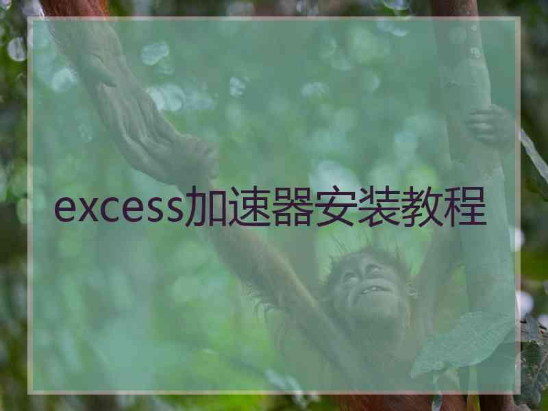 excess加速器安装教程