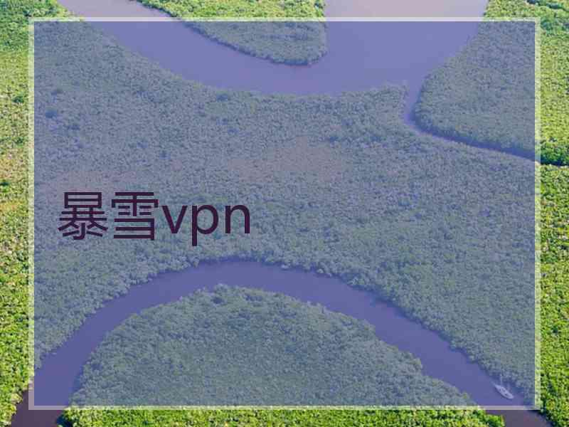 暴雪vpn