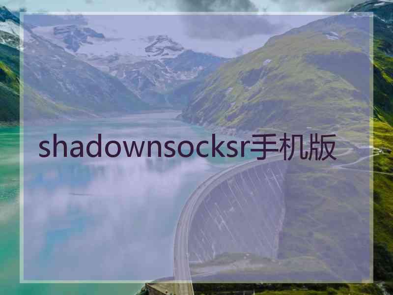 shadownsocksr手机版