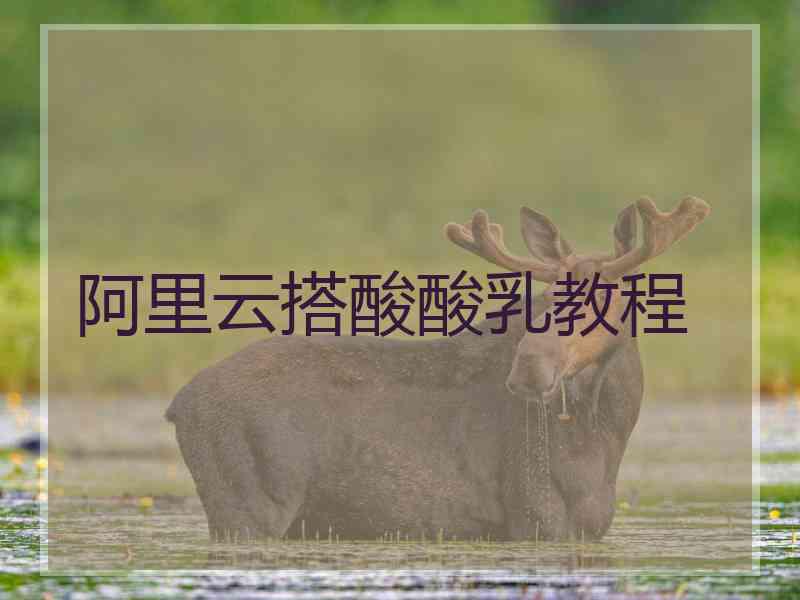 阿里云搭酸酸乳教程