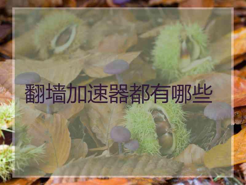 翻墙加速器都有哪些