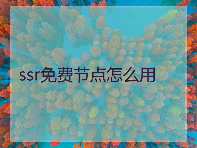 ssr免费节点怎么用