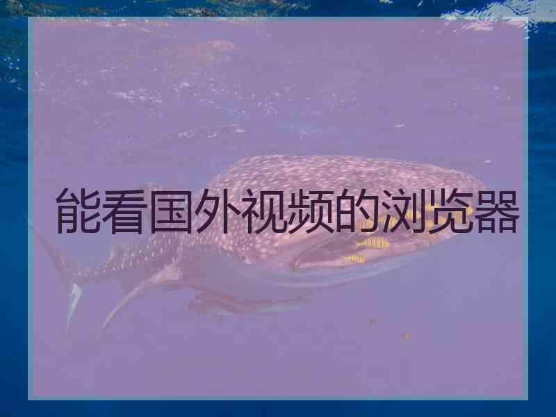 能看国外视频的浏览器