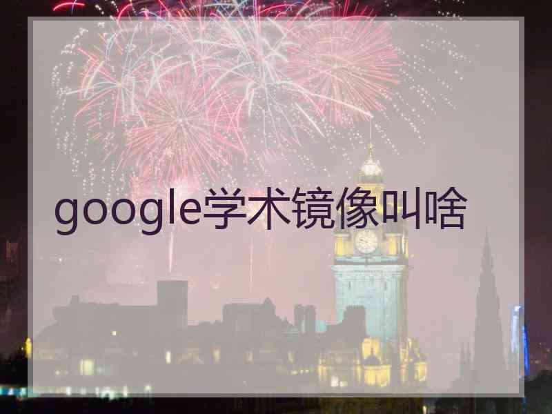 google学术镜像叫啥