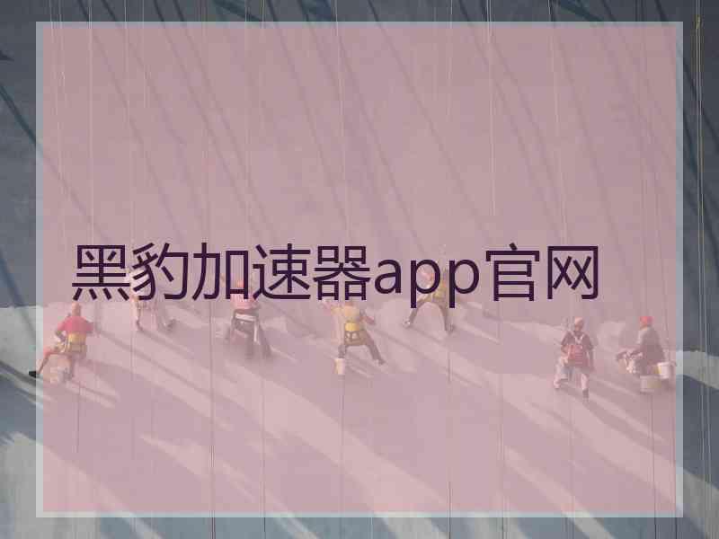 黑豹加速器app官网