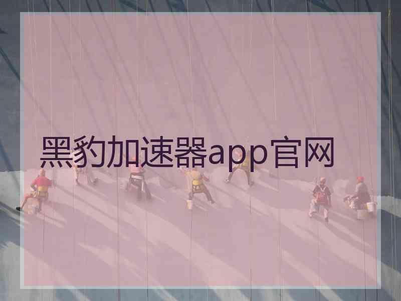 黑豹加速器app官网