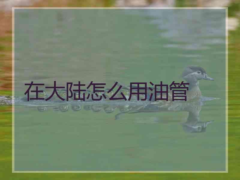 在大陆怎么用油管