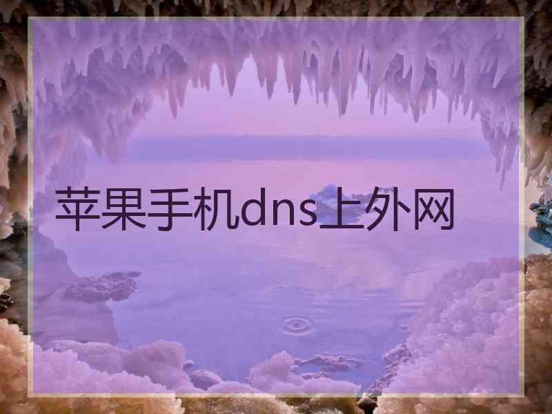 苹果手机dns上外网