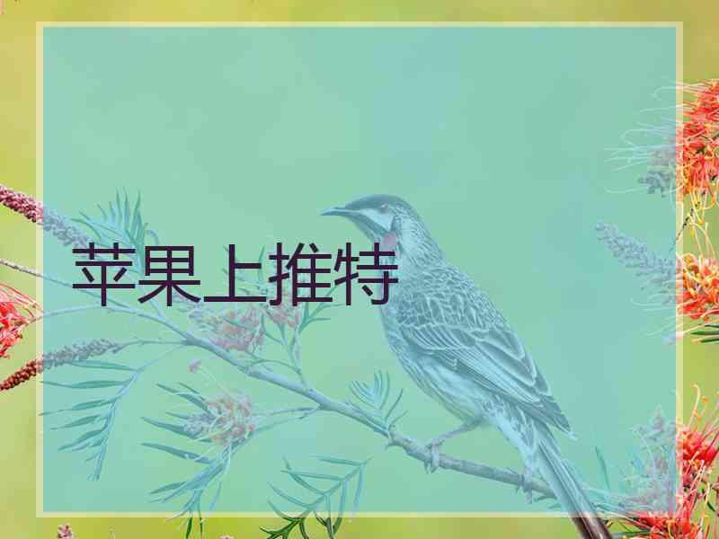 苹果上推特