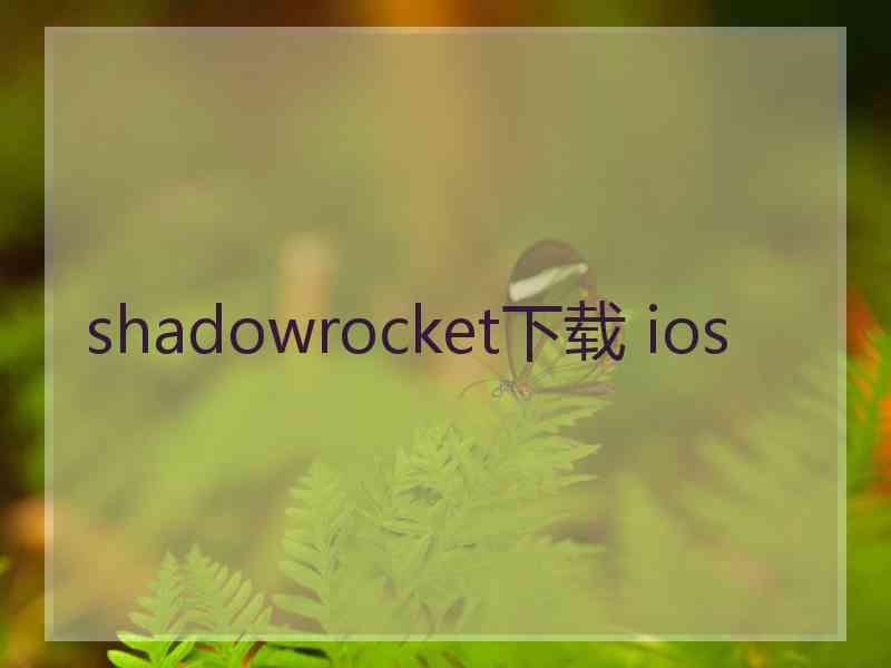 shadowrocket下载 ios