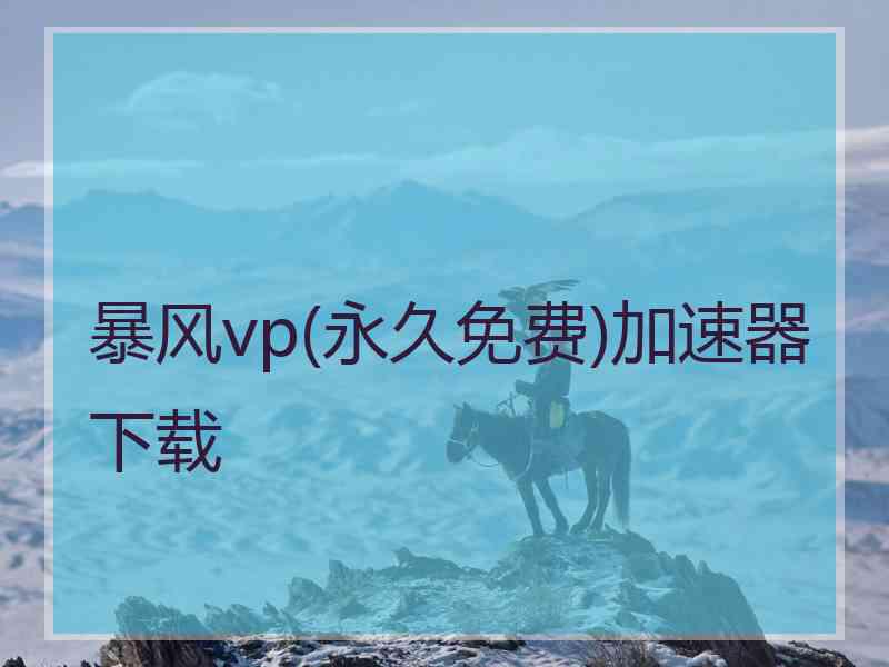 暴风vp(永久免费)加速器下载