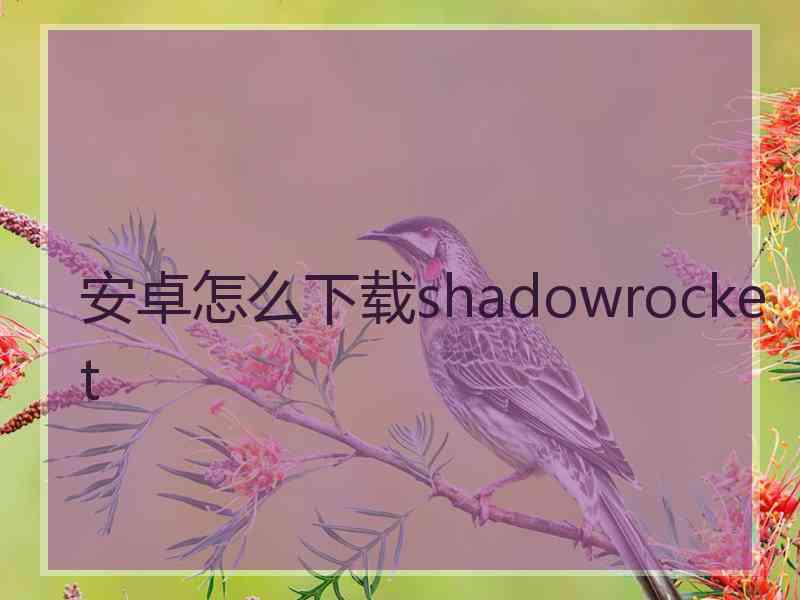 安卓怎么下载shadowrocket