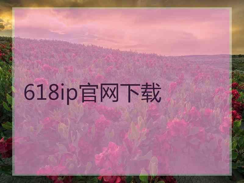 618ip官网下载