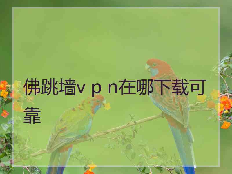 佛跳墙v p n在哪下载可靠